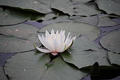 微软承认输掉了主机大战 下一代主机预计2028年推出